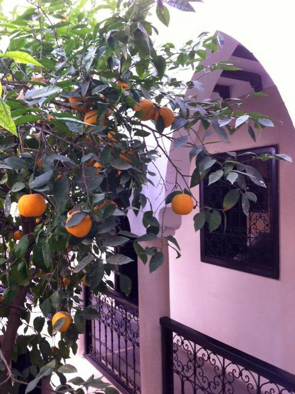 Riad Le Bel Oranger Marrakesh Bagian luar foto